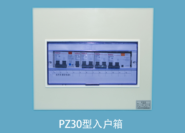 pz30型